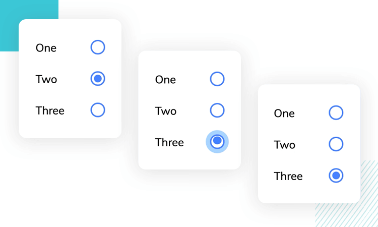 animated radio button example